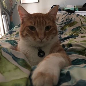 Meet your Posher, Stasi